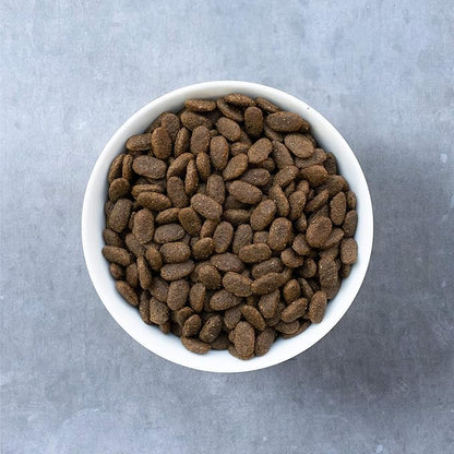 Evolve Grain Free Deboned Chicken, Sweet Potato and Berry Senior Recipe, 4lb