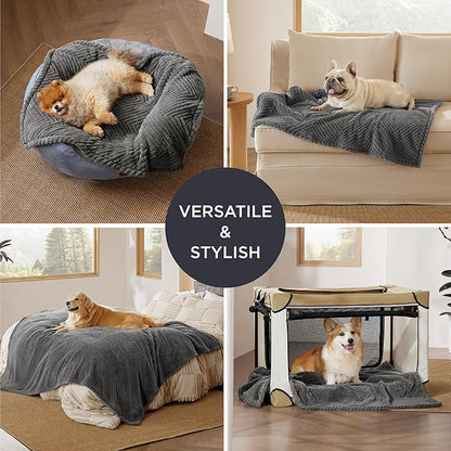 Bedsure Dog Blanket for Small Dogs Washable - Fluffy Fuzzy Puppy Cat Blanket with Premium 300GSM Coral Fleece Soft for Pet Kitten Doggy, Grey, 25x35IN