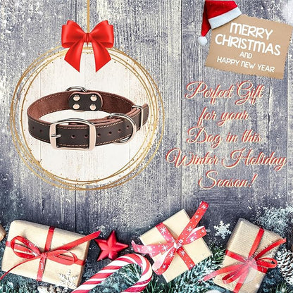 ADITYNA Heavy Duty Leather Dog Collar - Soft and Strong Dog Collar for Medium Dogs - Perfect for Walking, Training, Hiking, Traveling, Playing, and Running (Medium: Fit 13" - 20" Neck, Brown)